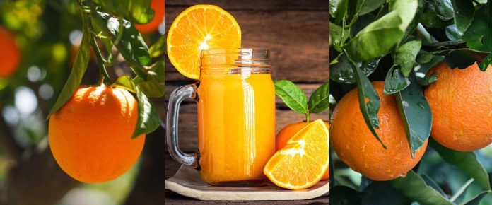 10 Health Benefits of Orange
