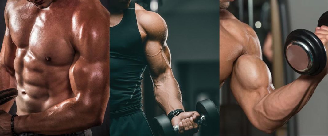 7 Best Bicep-Building Exercises